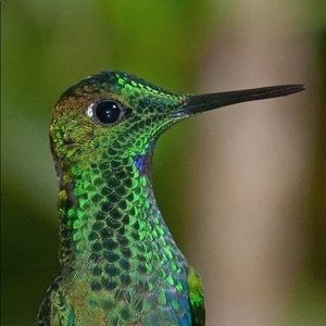 Meet your Posher, Edita